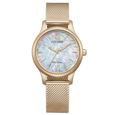 Citizen Lady EM0892-80D